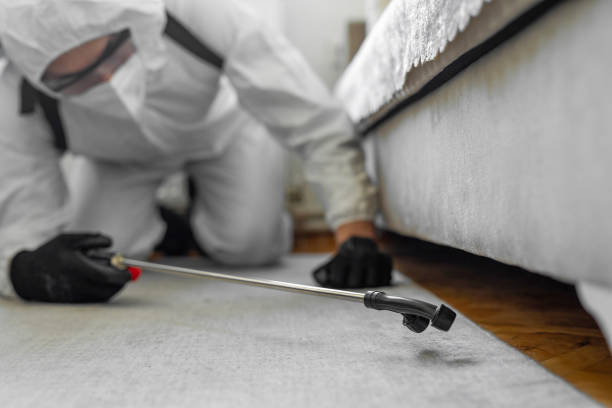 Professional Bed Bug Control technician working in Cumberland County County, NC
